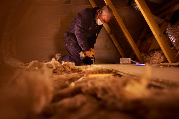 Best Insulation Installation Services in Crane, TX